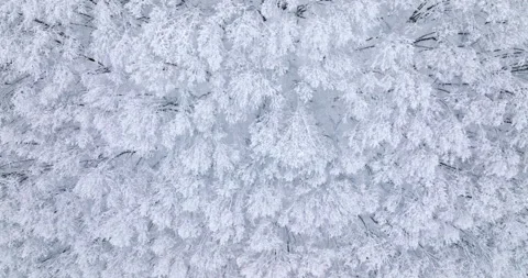 Drone of snow covered forest, moving left to right Stock Footage 239037202