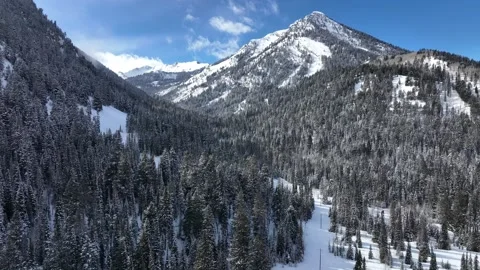 Drone Snow Stock Footage 219348223