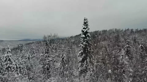 Drone snow Stock Footage 232825075