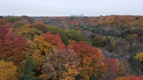 "Drone Soaring Over Toronto's Vibrant Autumn Colors" Stock Footage 293991331