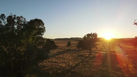 Drone Soaring Over Vast Australian Outback Grasslands at First Light 스톡 동영상 304850947