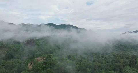 Drone Soaring Through the Clouds Above the Borneo Jungle Stock Footage 288602768