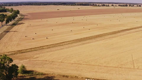 A drone soars above a vast landscape of meadows and fields. Location: Stock Footage 239111963