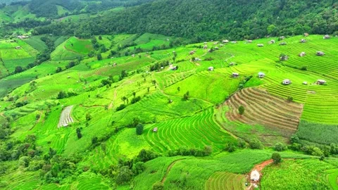 Drone soars over the breathtaking the rice terraces. Stock Footage 250148312