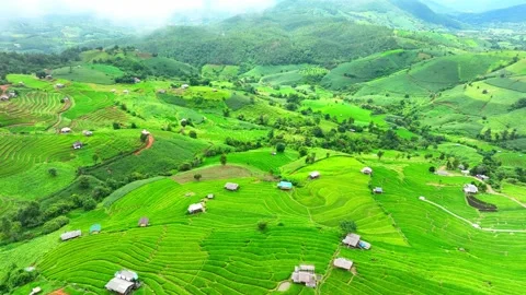 Drone soars over the breathtaking the rice terraces. Stock Footage 250148447