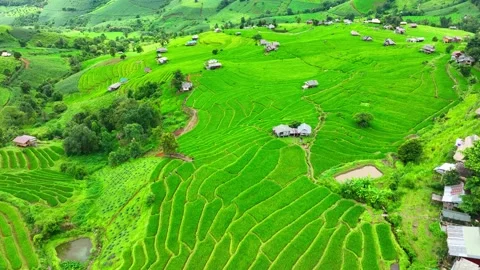 Drone soars over the breathtaking the rice terraces. Stock Footage 250148582