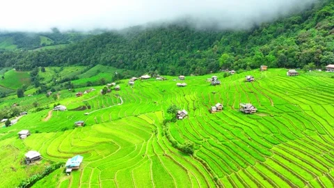 Drone soars over the breathtaking the rice terraces. Stock Footage 250149736