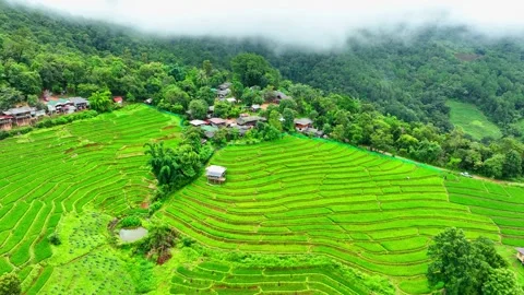 Drone soars over the breathtaking the rice terraces. Stock Footage 250150090