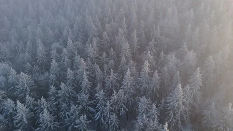 Drone soars over a snow-clad mountain forest, the setting sun casting an or.. Video stock 263217504