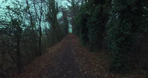 Drone speed in trees path, campain in winter with cloudy weather, Stock Footage 83996230