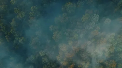 Drone Spirals Into Misty Clouds Over Canopy of Yarra Valley, Australia Vidéo 237435104