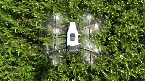 Drone spraying fertilizer on corn fields, Smart farming innovation Stock Footage 242689249