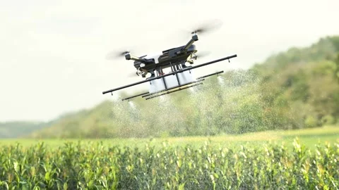 Drone spraying fertilizer on corn fields Stock Footage 244970010
