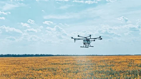 Drone spraying on field Vídeos de archivo 84075606