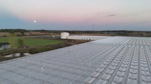 Drone Spraying Greenhouse Stock-Footage 320019671