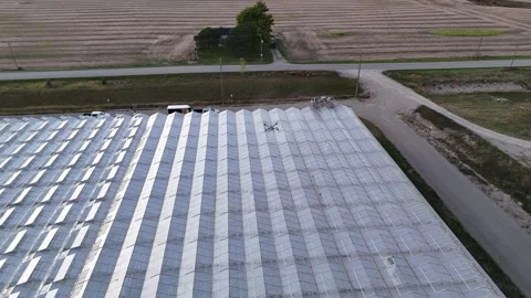 Drone Spraying Greenhouse Stock-Footage 320019708