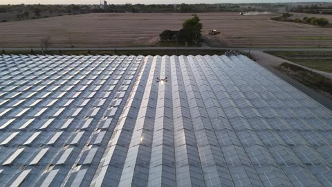 Drone Spraying Greenhouse Stock-Footage 320021311
