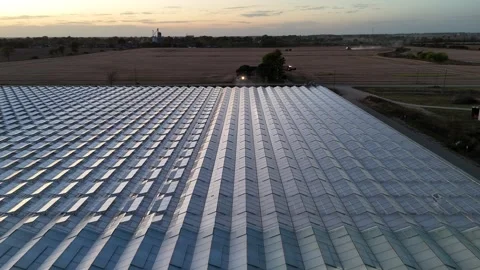 Drone Spraying Greenhouse Stock-Footage 320021318