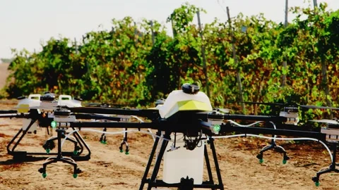 Drone Spraying over Grapevine Field Industrialization Technology Agriculture Stockbeeldmateriaal 163292440
