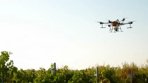 Drone Spraying over Grapevine Field Industrialization Technology Agriculture Stockbeeldmateriaal 163292812