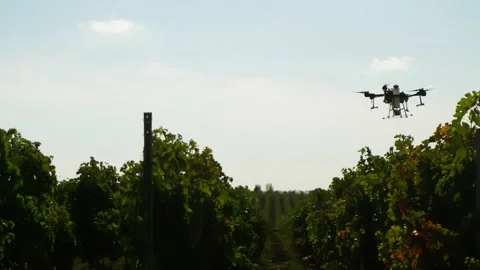 Drone Spraying over Grapevine Field Industrialization Technology Agriculture Stockbeeldmateriaal 163292824