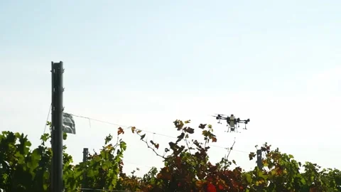 Drone Spraying over Grapevine Field Industrialization Technology Agriculture Stockbeeldmateriaal 163292860
