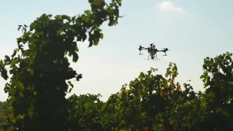 Drone Spraying over Grapevine Field Industrialization Technology Agriculture Stockbeeldmateriaal 163292902