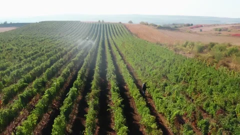 Drone Spraying over Grapevine Field Industrialization Technology Agriculture Stockbeeldmateriaal 163293182
