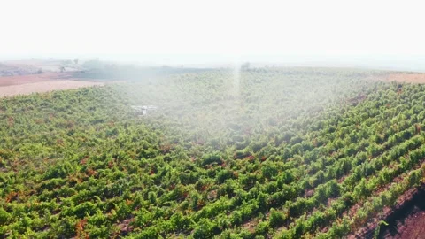 Drone Spraying over Grapevine Field Industrialization Technology Agriculture Stockbeeldmateriaal 163293370