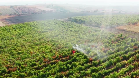 Drone Spraying over Grapevine Field Industrialization Technology Agriculture Stockbeeldmateriaal 163293411