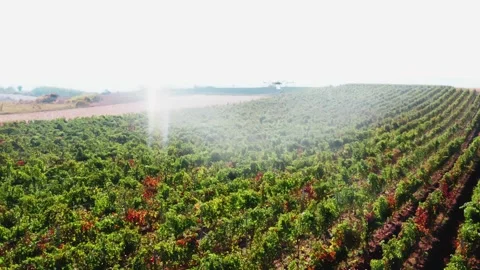 Drone Spraying over Grapevine Field Industrialization Technology Agriculture Stockbeeldmateriaal 163293694
