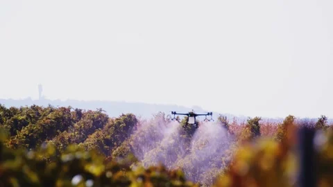 Drone Spraying over Grapevine Field Industrialization Technology Agriculture Stockbeeldmateriaal 163293838