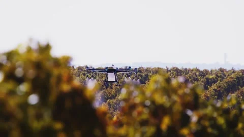 Drone Spraying over Grapevine Field Industrialization Technology Agriculture Stockbeeldmateriaal 163293892