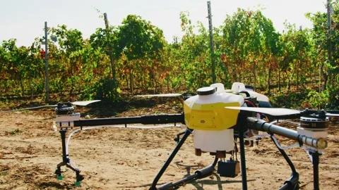 Drone Spraying over Grapevine Field Industrialization Technology Agriculture Stock-Footage 163293956