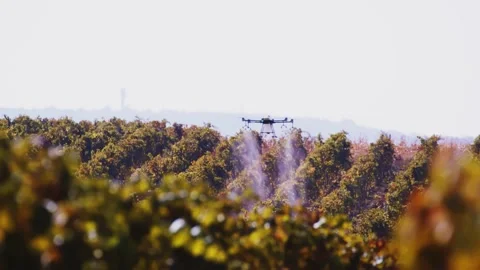 Drone Spraying over Grapevine Field Industrialization Technology Agriculture Stockbeeldmateriaal 163293964