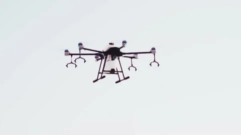Drone Spraying over Grapevine Field Industrialization Technology Agriculture Stockbeeldmateriaal 163293973