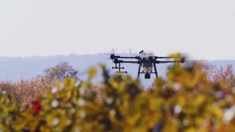 Drone Spraying over Grapevine Field Industrialization Technology Agriculture Stock-Footage 163294020