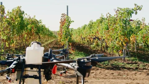 Drone Spraying over Grapevine Field Industrialization Technology Agriculture Stock-Footage 163294588