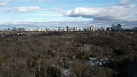 Drone Stands Above Forest, Watching Tall Buildings Side by Side Nearby Stock Footage 295916679