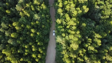 Drone Summer Forest Car 4k 動画素材 170140686