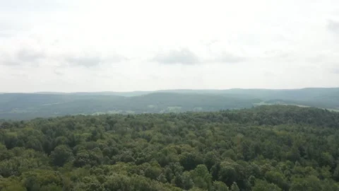 Drone summer trees Video stock 251588271