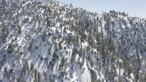 Drone Sun Through Forest and Snow Stock Footage 114304841