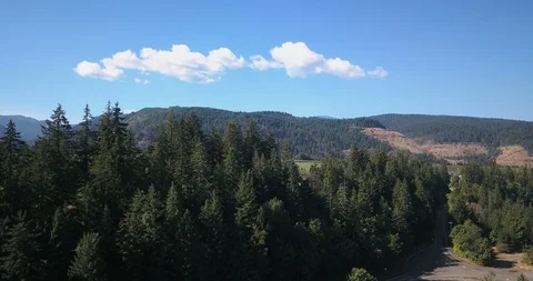 Drone - Sunny Oregon 5 Stock Footage 106426684