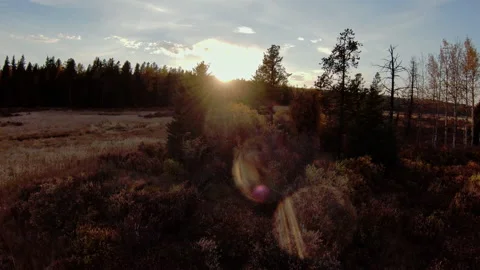 Drone Sunset in Alberta Stock Footage 218637997