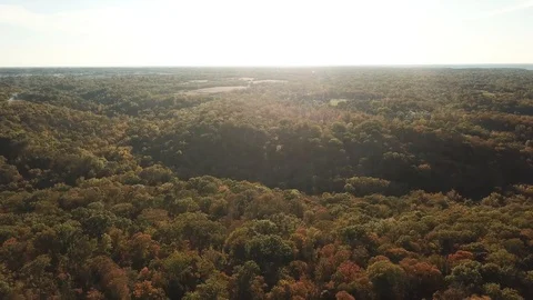 Drone Sunset of Fall Trees with Sun Flares Stock Footage 120475997