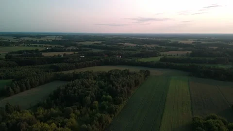 Drone sunset flight over rural landscape with fields and forest Stock Footage 317024214