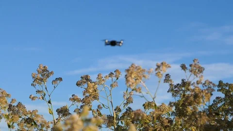 Drone surveillance flyover Stockbeeldmateriaal 91875299