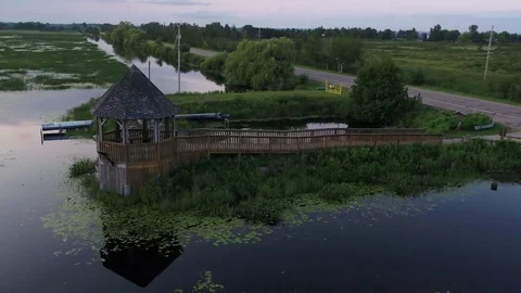 Drone Swamp Stock Footage 82328468