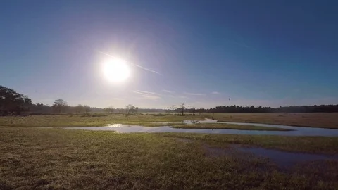 Drone of swamp river area Stock Footage 111268998