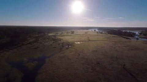 Drone of swamp river area Stock Footage 111269092